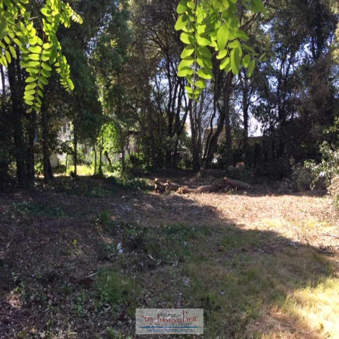 Offres de vente Terrain L'Île-d'Yeu (85350)