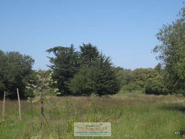 Offres de vente Terrain L'Île-d'Yeu (85350)